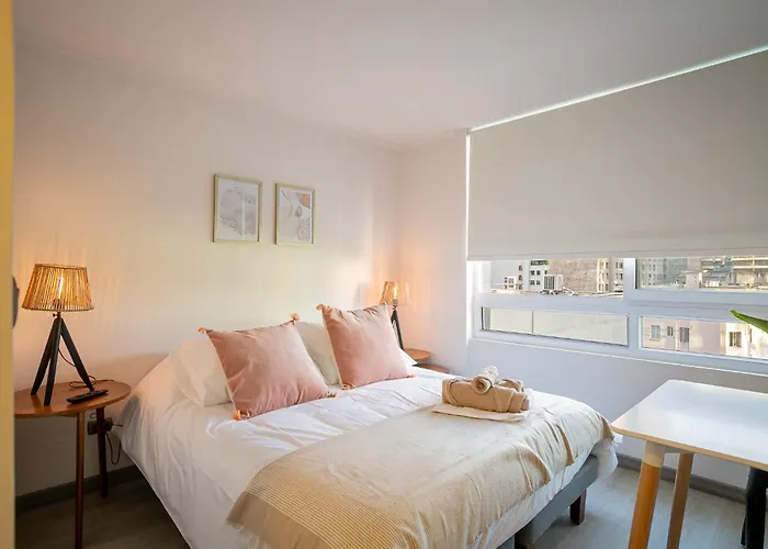 Authentic Santiago Studio Apt Near Plaza De Armas